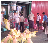 Why Siddhartha Pellet Feed