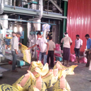Siddhartha Pellet Feed